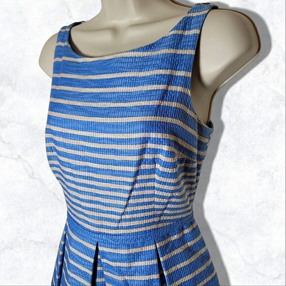 Taylor (Anthropology) Textured Pleated Striped Blue & White Fit & Flare Dress - Picture 4 of 8